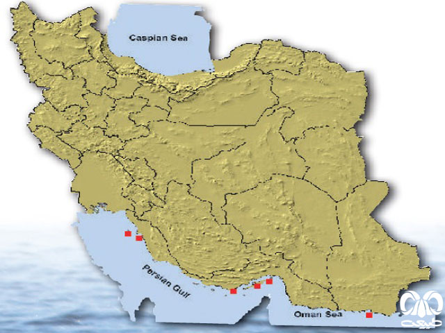 دلفین بینی بطری معمولی در ایران